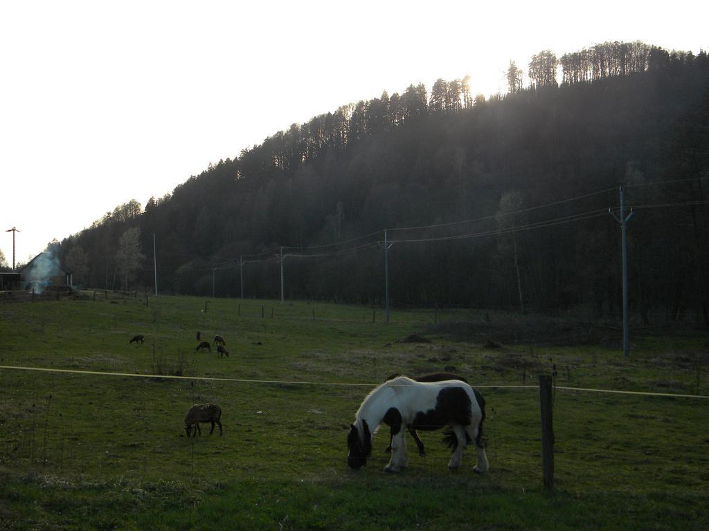 Penzion A Apartmany Skipark Hrabesice Krasne Exterior foto